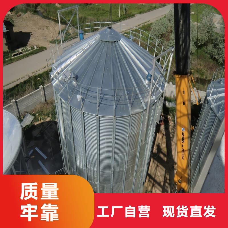 粮食立筒仓今日行情