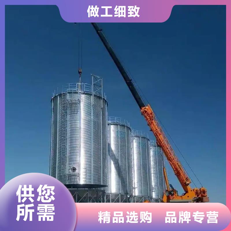 玉米存儲(chǔ)鋼板倉(cāng)-一心為客戶