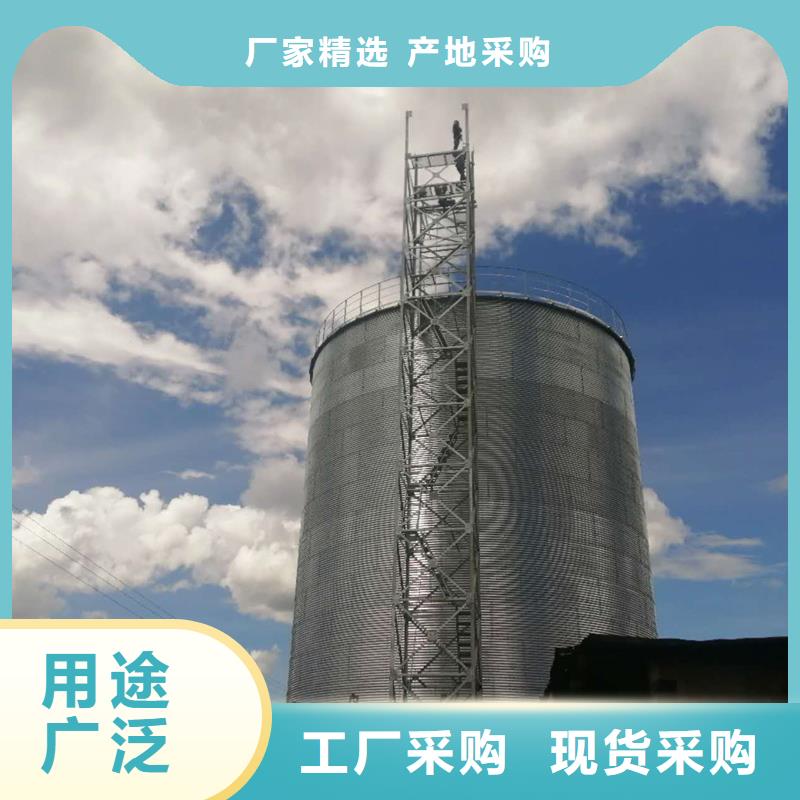 定制玉米豆類裝配式糧倉(cāng)鋼板倉(cāng)的廠家