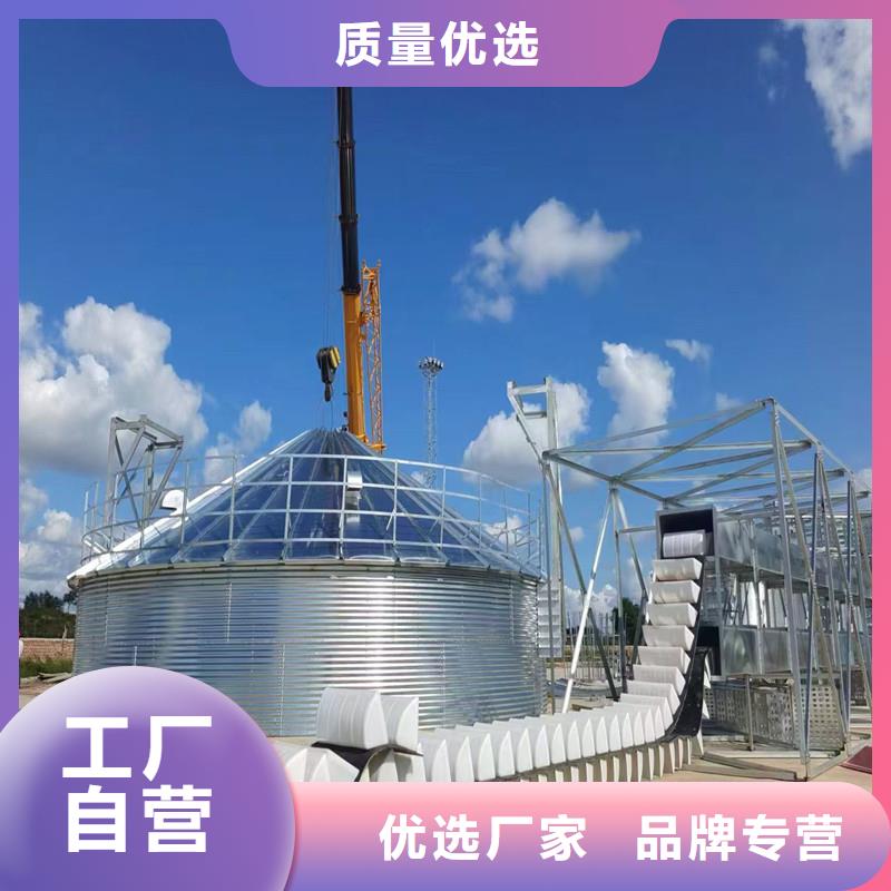 規(guī)格齊全的小麥裝配式糧倉(cāng)鋼板倉(cāng)廠家