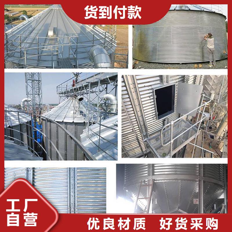 200噸玉米倉儲筒倉實體生產廠家