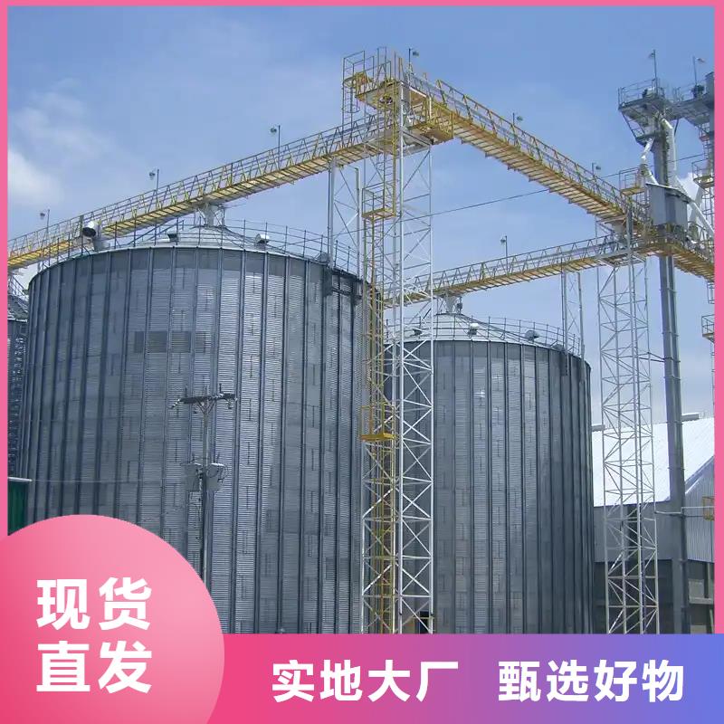 糧食立式筒倉(cāng)-實(shí)業(yè)廠家