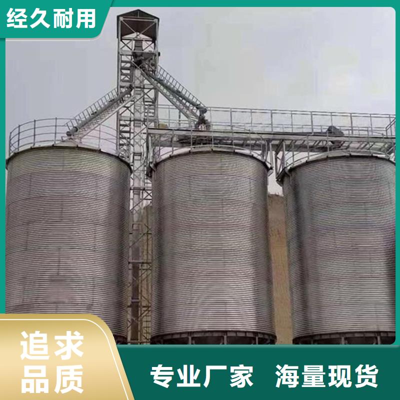 装配式粮仓钢板仓厂家-可按需定制