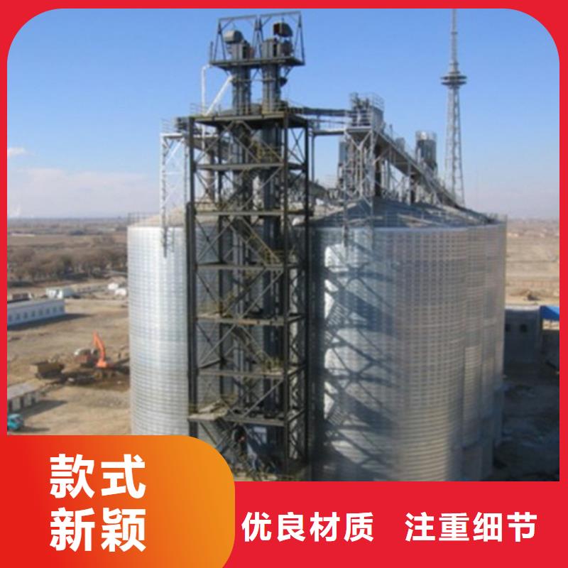 糧食立式筒倉(cāng)-實(shí)業(yè)廠家
