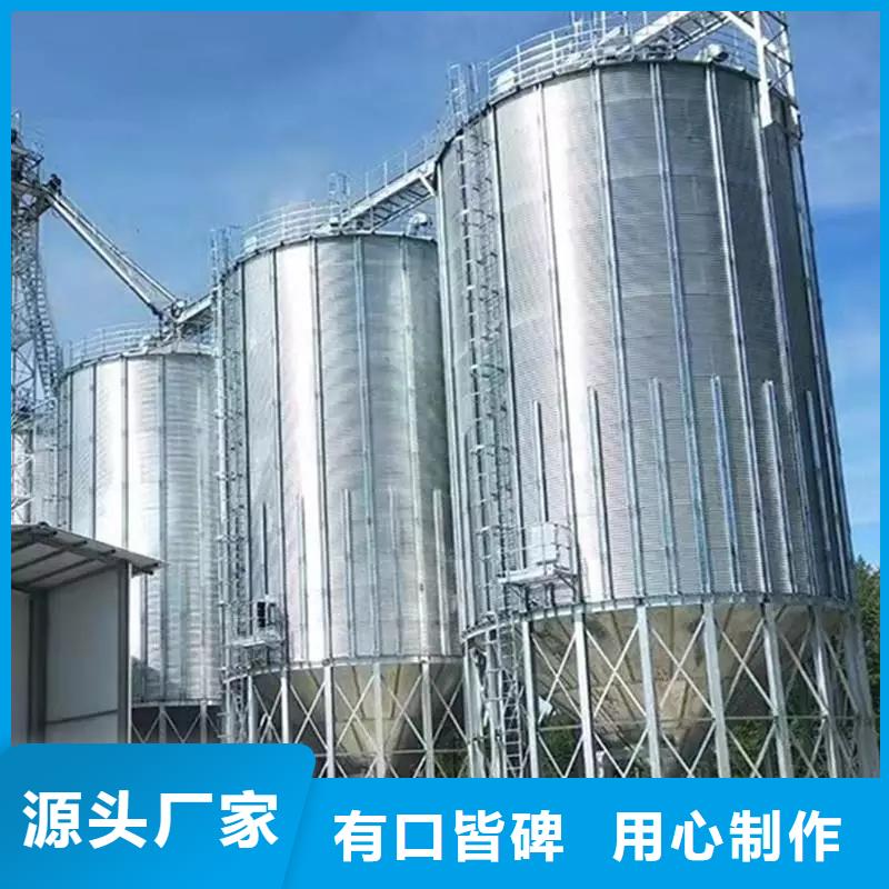 糧食立式筒倉(cāng)-實(shí)業(yè)廠家