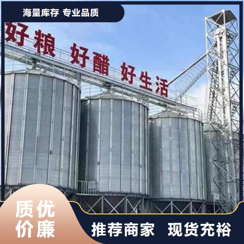 糧食立式筒倉(cāng)-實(shí)業(yè)廠家