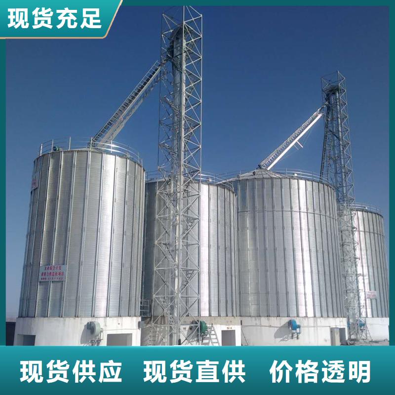 糧食立式筒倉(cāng)-實(shí)業(yè)廠家