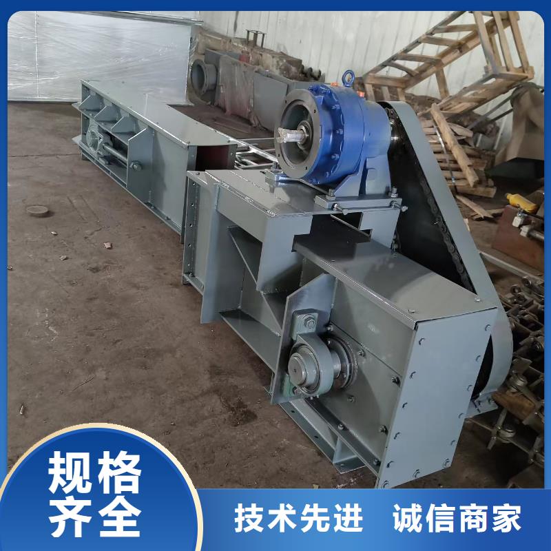 NE30板链斗式提 升机国标品质