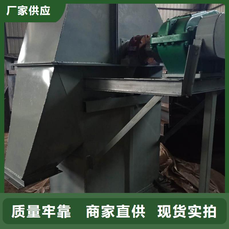 TD200斗式机价格公道