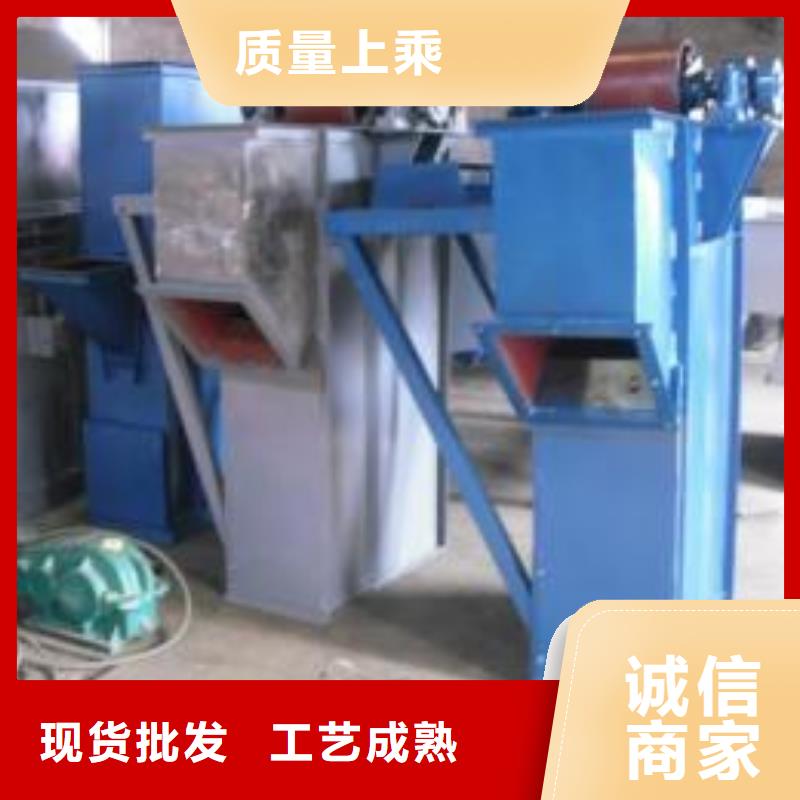 TD315斗式機(jī)廠家價格