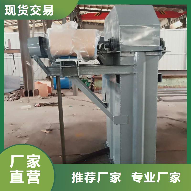 TD315斗式機(jī)廠家價格