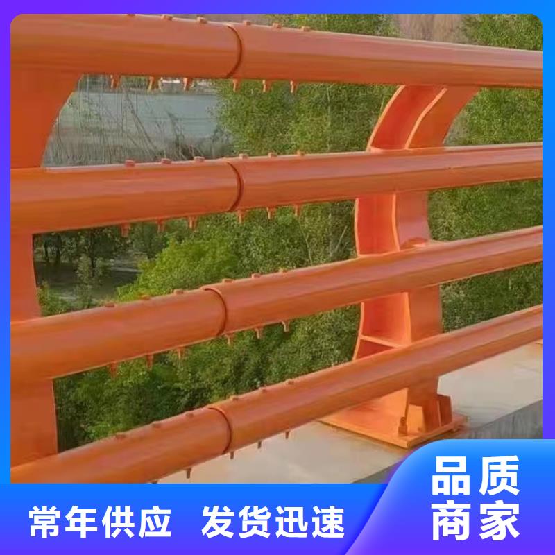 河道護欄今年新款
