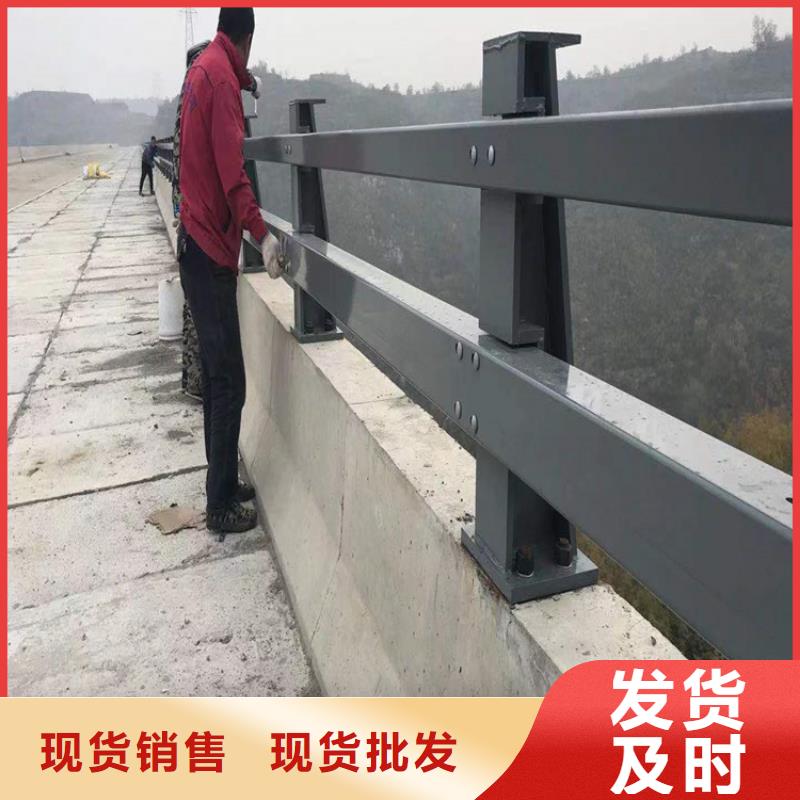 河道护栏您身边的厂家