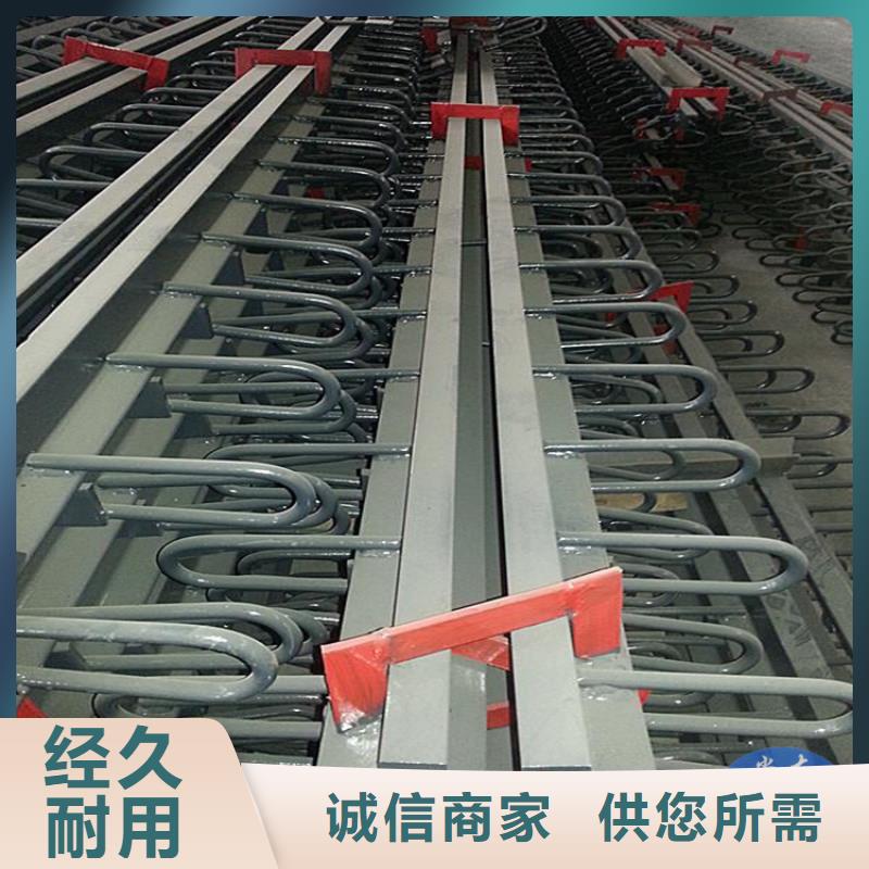 【桥梁伸缩缝-连廊支座性能稳定】