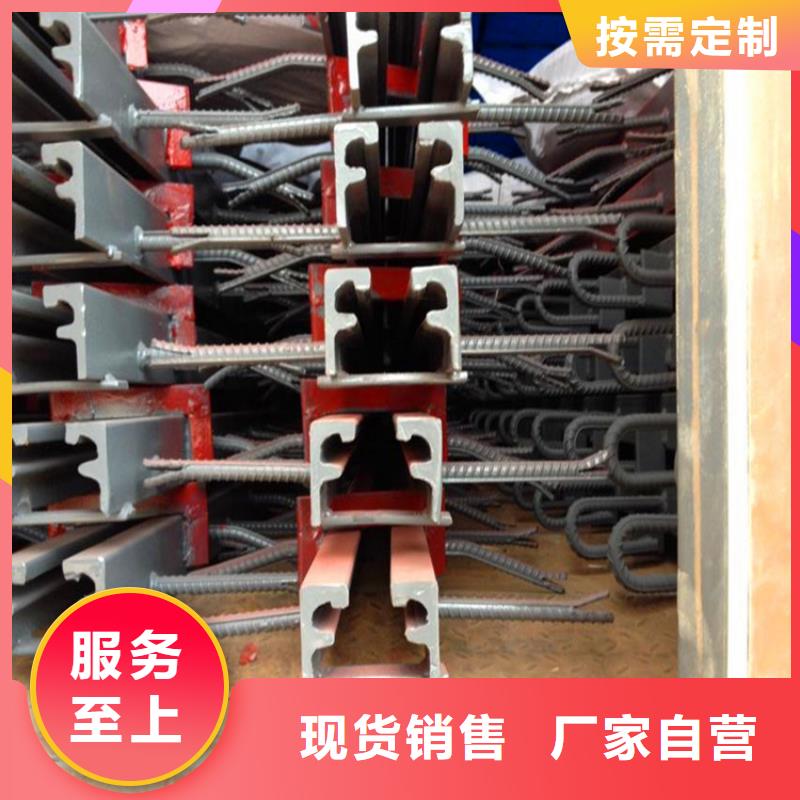质量好的D160型桥梁伸缩缝大型厂家