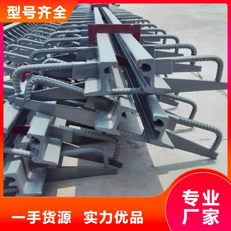 2025欢迎访问##梳齿板式桥梁伸缩缝装置厂家##可定制
