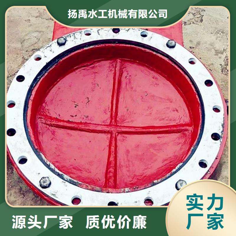 鑄鐵閘門,玻璃鋼拍門海量現(xiàn)貨直銷