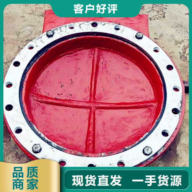  鑄鐵閘門廠家實力大