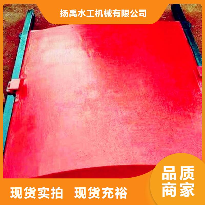 铸铁闸门【平板钢闸门】一个起售