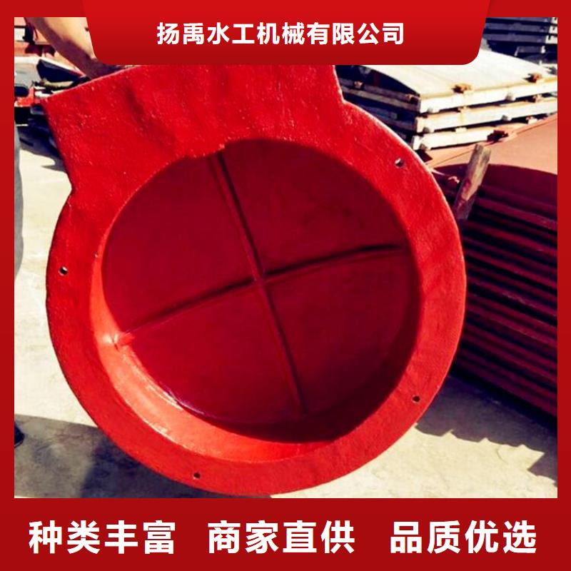 鑄鐵閘門(mén) 雙向止水閘門(mén)規(guī)格齊全實(shí)力廠家