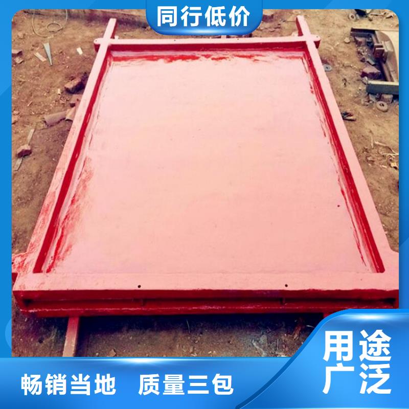 铸铁闸门 卷扬启闭机厂家准时交付