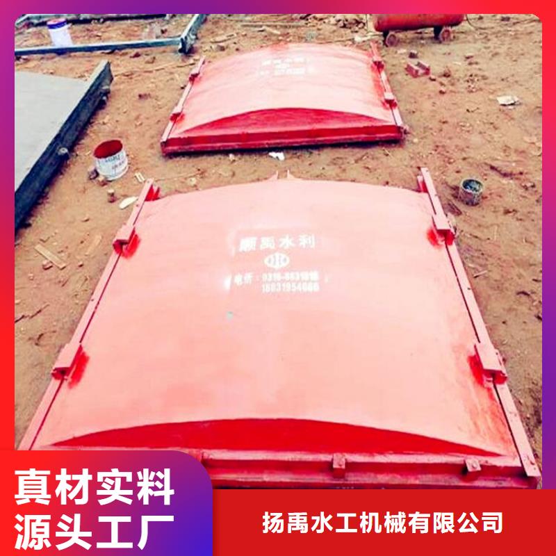  铸铁闸门设计合理
