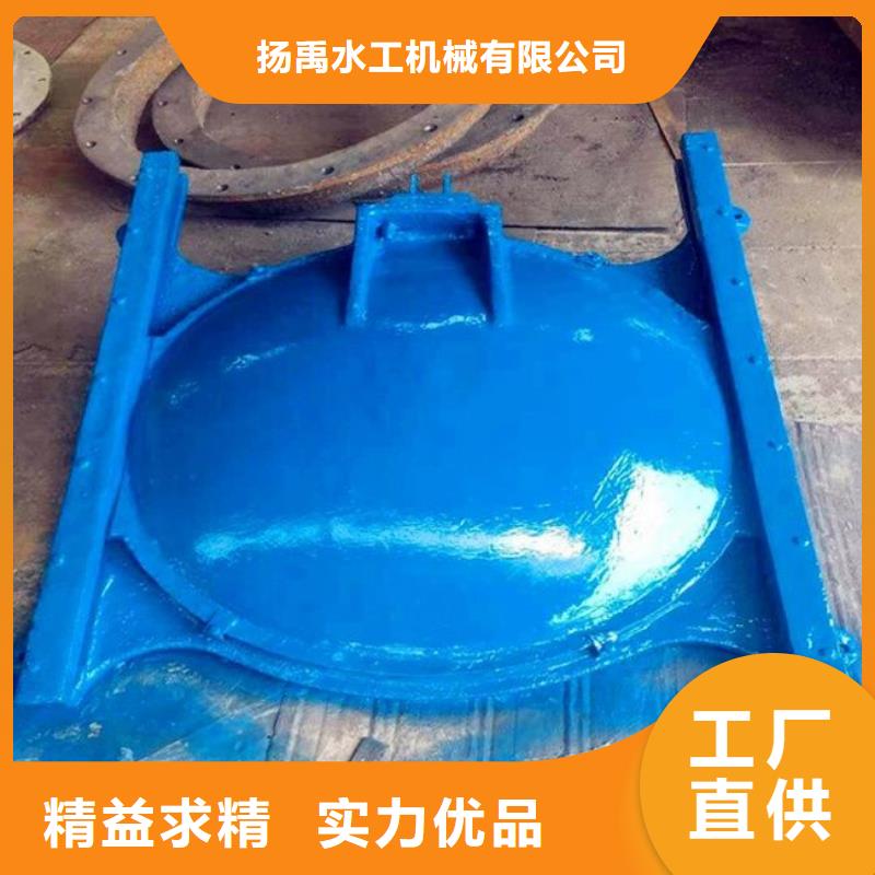 【鑄鐵閘門(mén)電動(dòng)裝置啟閉機(jī)誠(chéng)信為本】