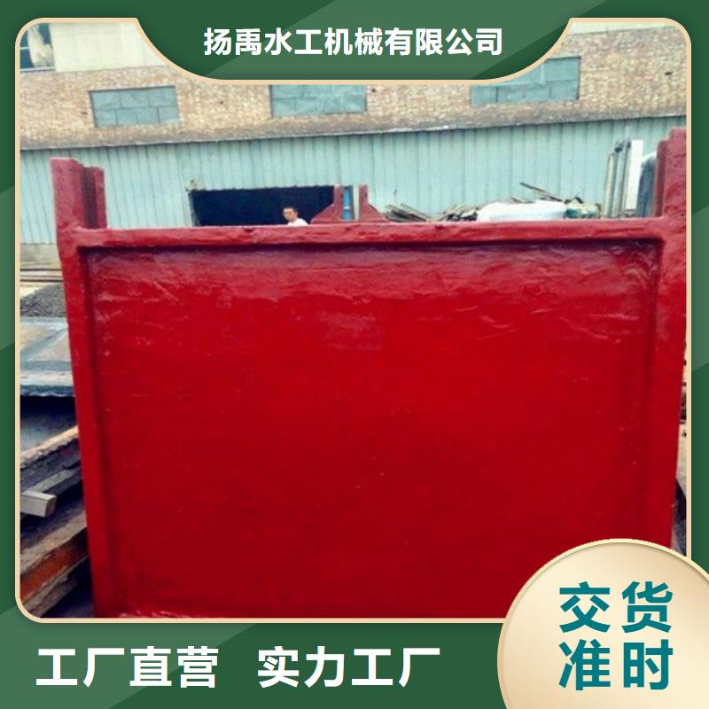 鑄鐵閘門_攔污柵一手貨源源頭廠家