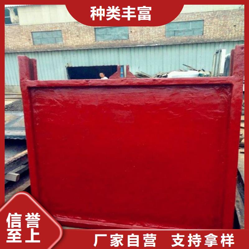 铸铁闸门-抓斗清污机用心做产品