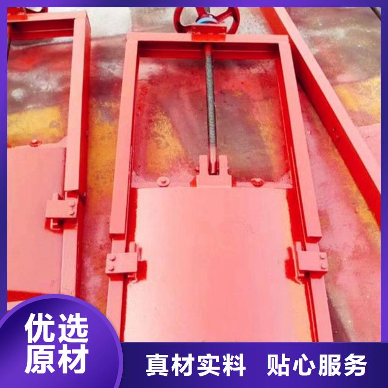 鑄鐵閘門鋼壩正規(guī)廠家