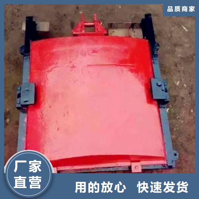 鑄鐵閘門_鋼制拍門廠家誠信廠家