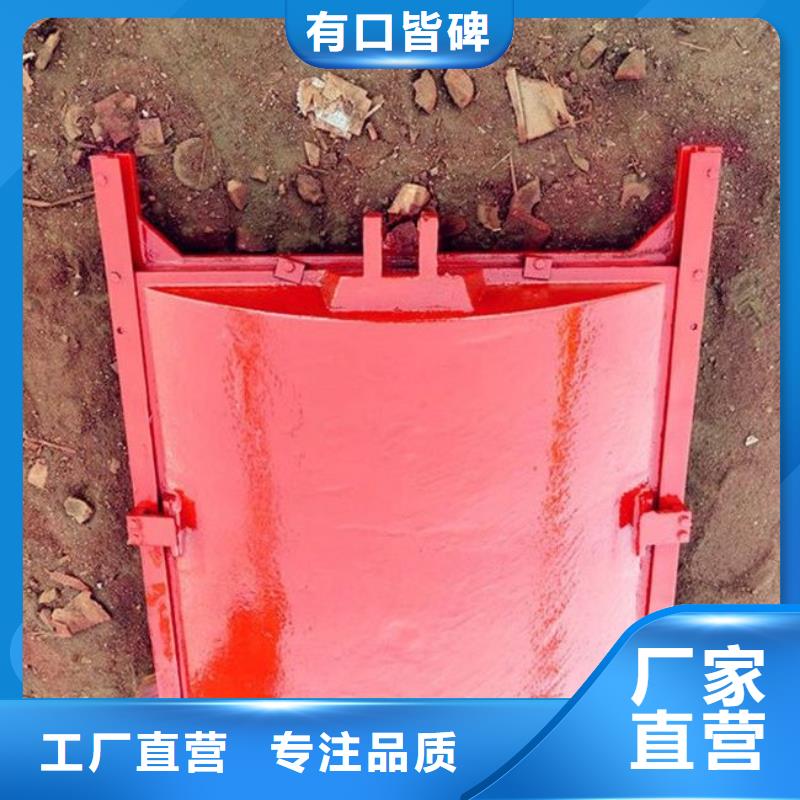 鑄鐵閘門_鋼制拍門廠家誠信廠家