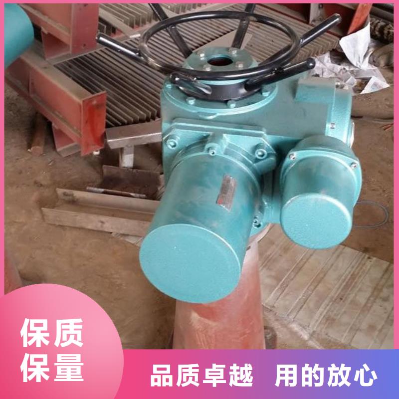 螺杆启闭机,钢制闸门保障