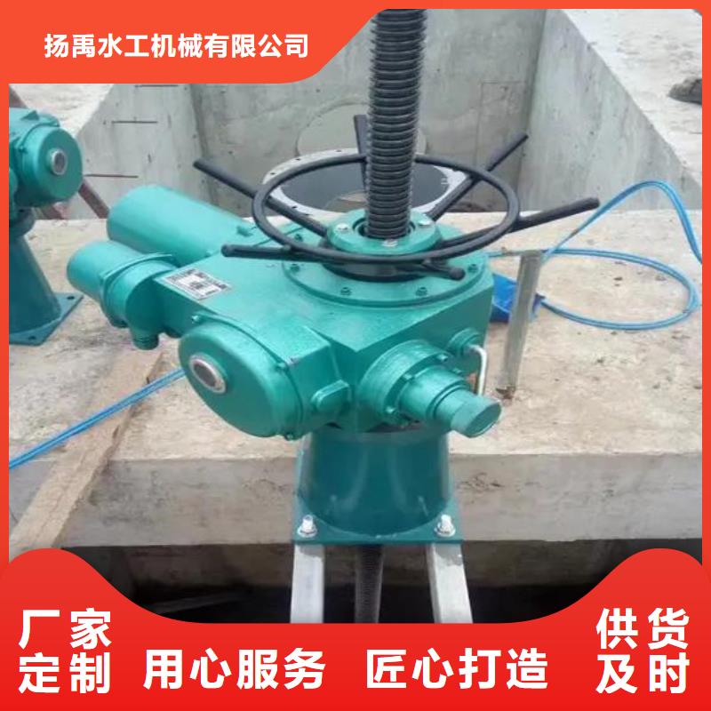 螺桿啟閉機(jī) 鑄鐵拍門定制批發(fā)
