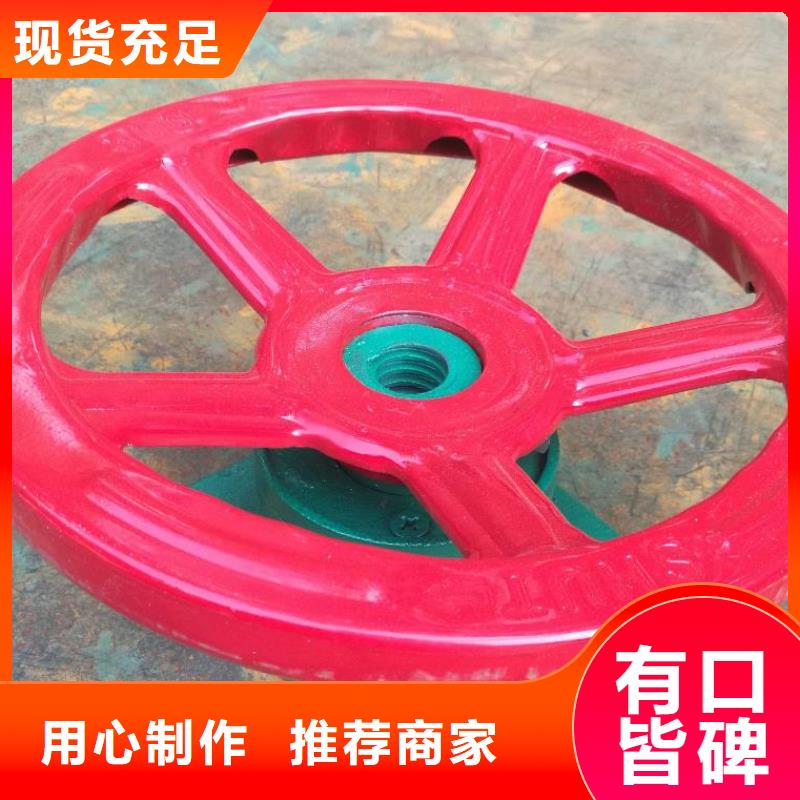螺桿啟閉機(jī)拍門廠家