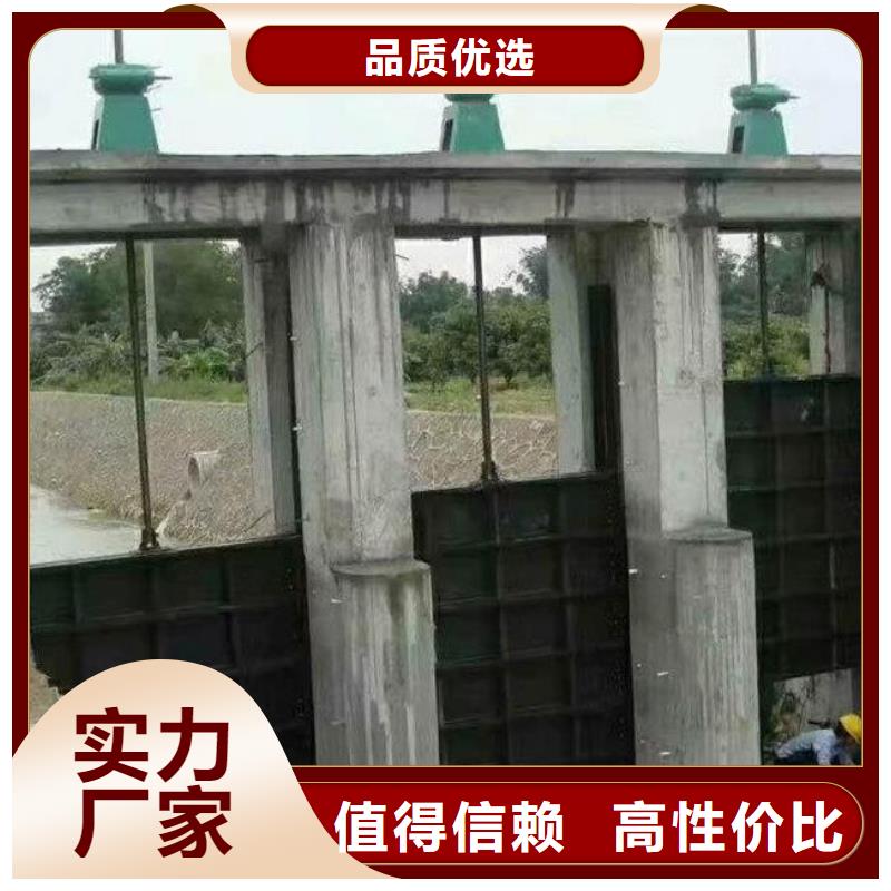 螺桿啟閉機,球墨鑄鐵閘門精心選材