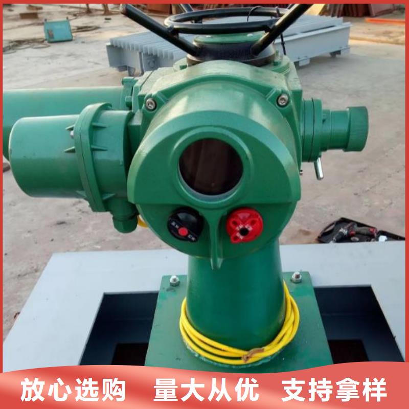 螺杆启闭机卷扬启闭机厂家通过检测