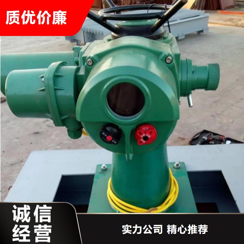 【螺桿啟閉機(jī)_鋼制拍門定制定做】