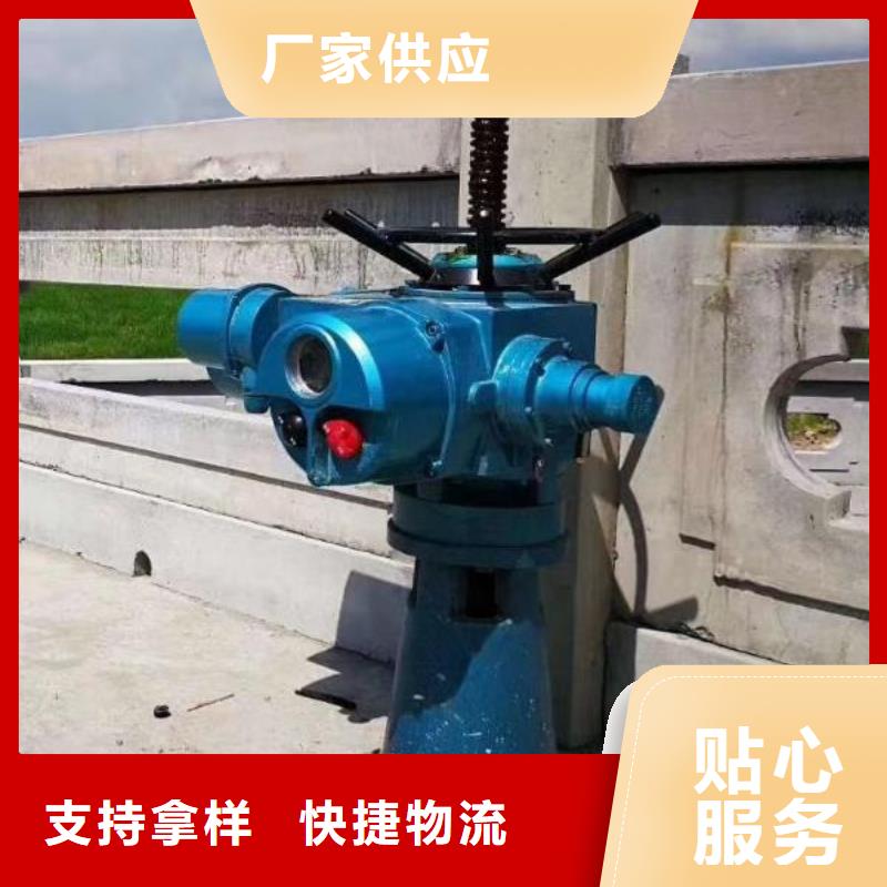 螺杆启闭机电动装置启闭机免费安装