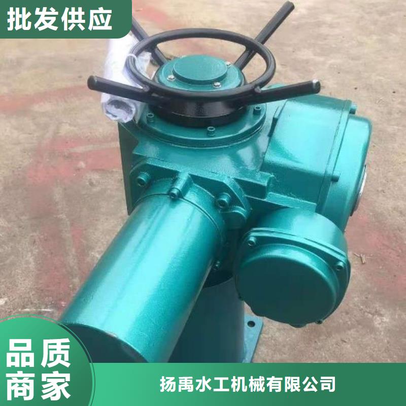 螺桿啟閉機,鑄鐵拍門真實拍攝品質(zhì)可靠