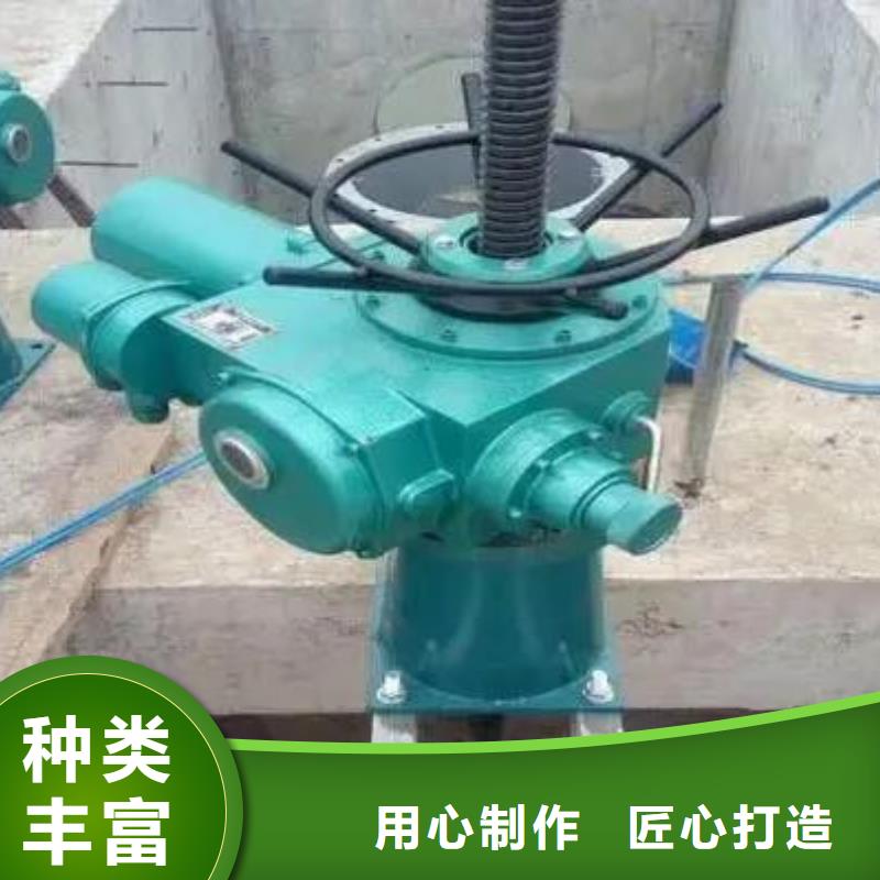 螺桿啟閉機(jī)拍門廠家