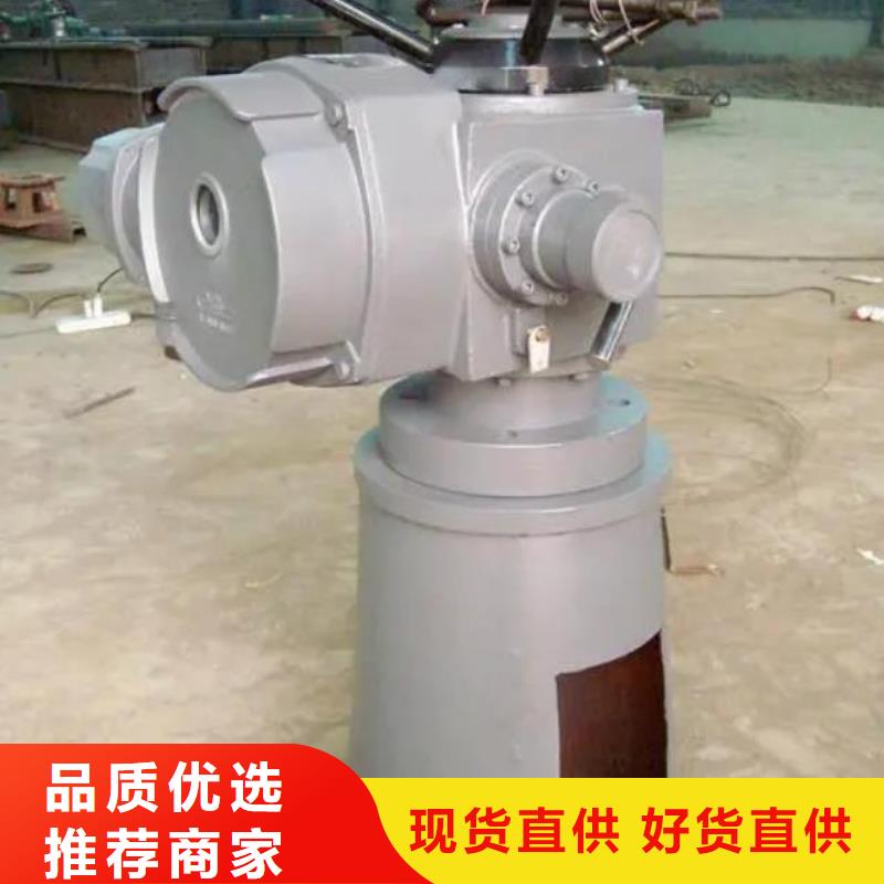 螺桿啟閉機(jī) 【鑄鐵拍門】專注質(zhì)量