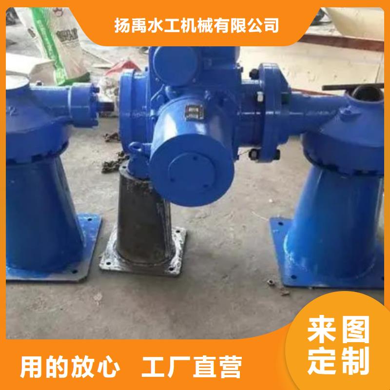 螺桿啟閉機(jī)鑄鐵拍門專業(yè)生產(chǎn)制造廠