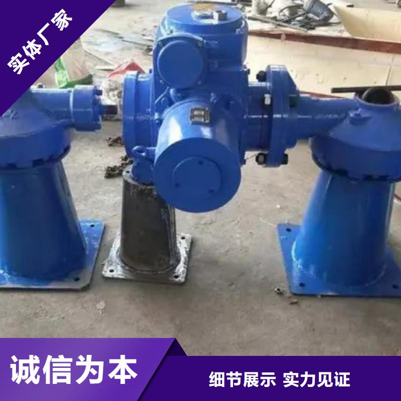 螺桿啟閉機(jī)球墨鑄鐵閘門(mén)多年行業(yè)積累
