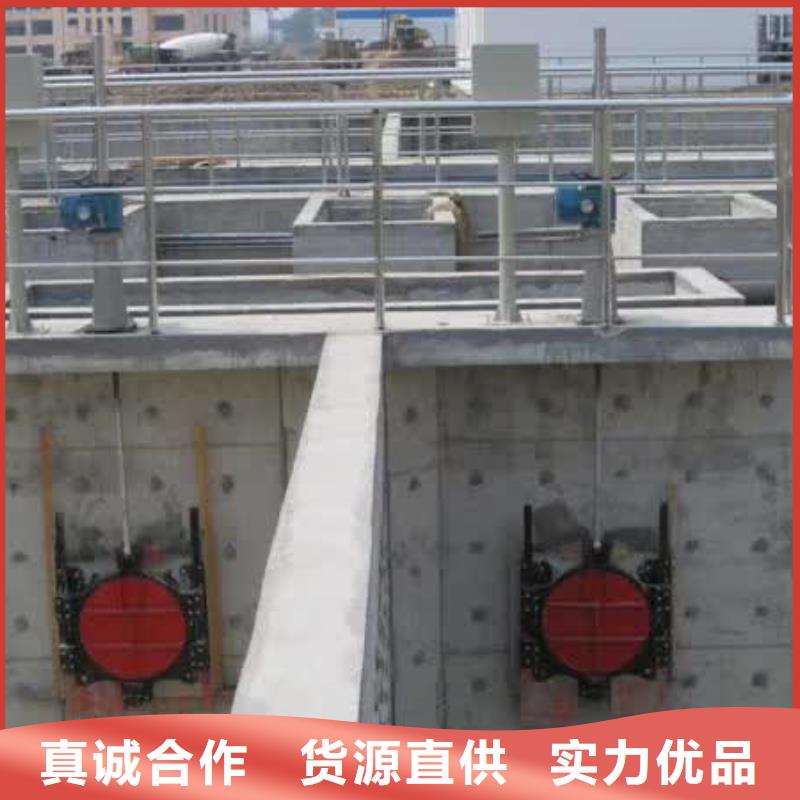 螺桿啟閉機(jī)扇形閘門廠家銷售