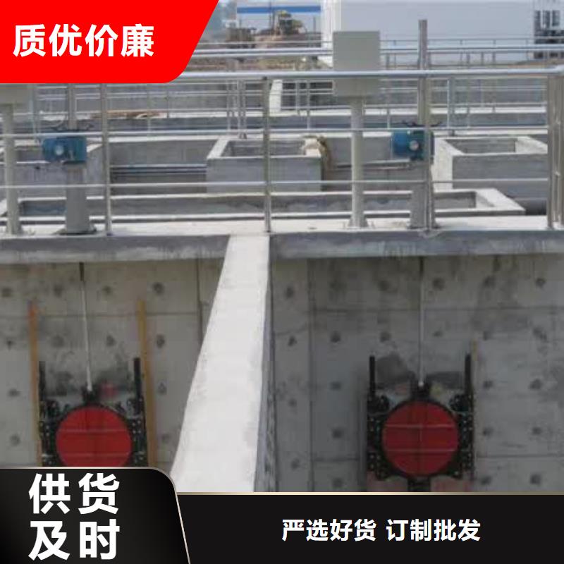 【螺桿啟閉機(jī)_鋼制拍門定制定做】
