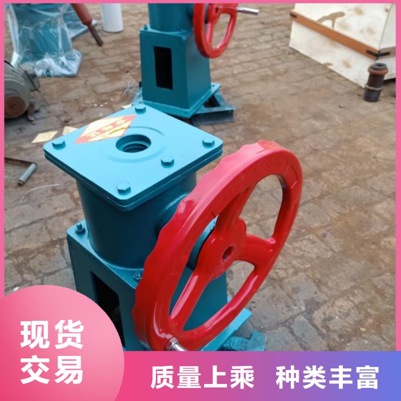 【螺桿啟閉機(jī)_鋼制拍門定制定做】