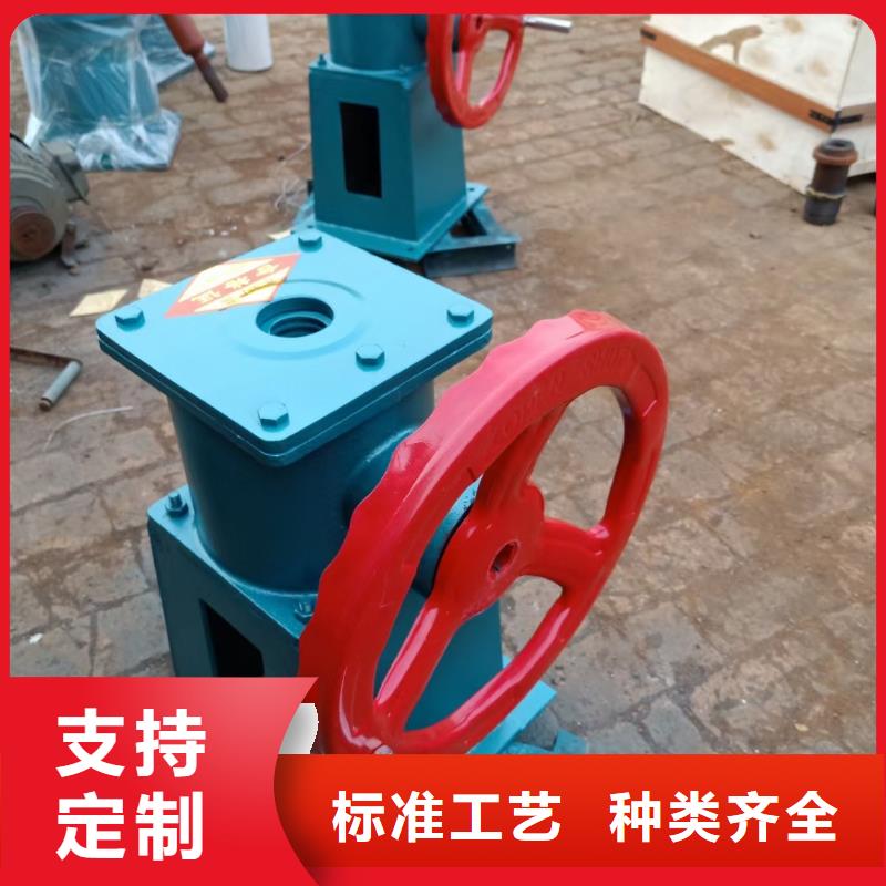 【螺桿啟閉機(jī)_鋼制拍門定制定做】