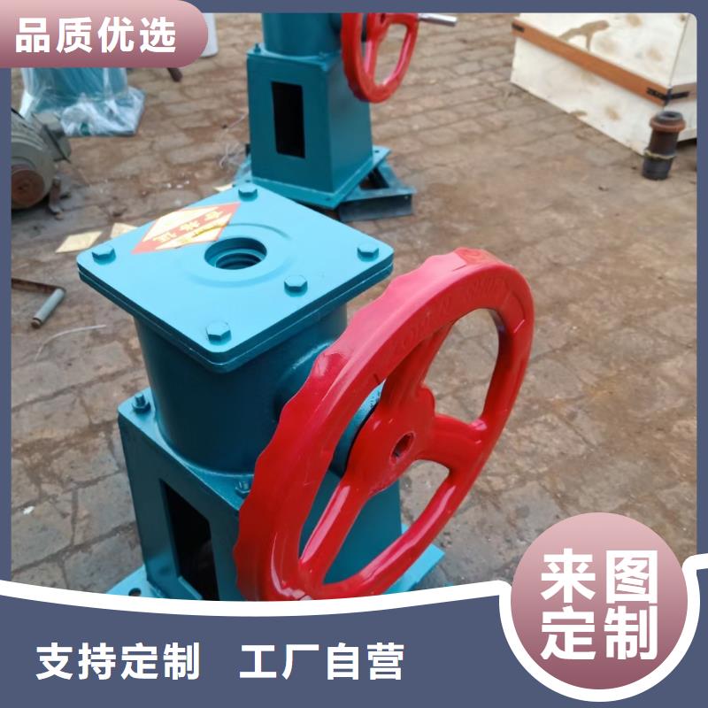 【螺桿啟閉機_鋼制拍門定制定做】