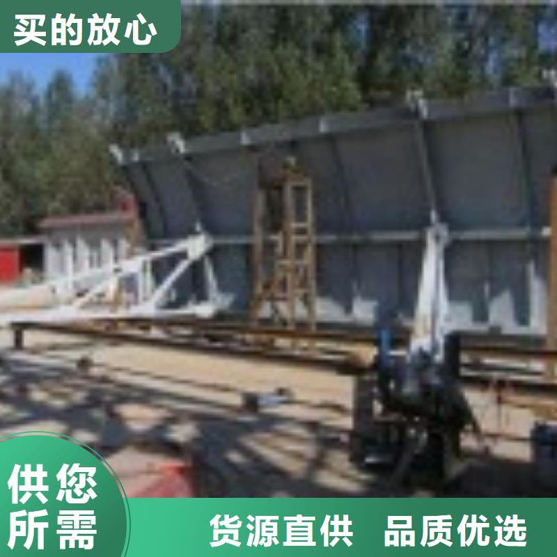 翻板閘門球墨鑄鐵閘門廠家定制批發(fā)